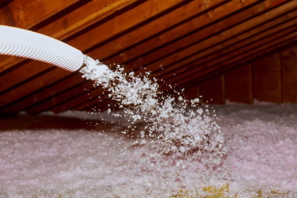 Best Insulation Maintenance and Repair in Jackson, MI