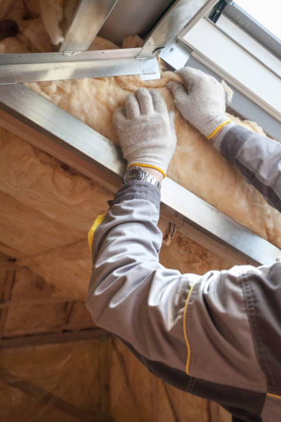 Best Geographic-Specific Insulation Services in Jackson, MI