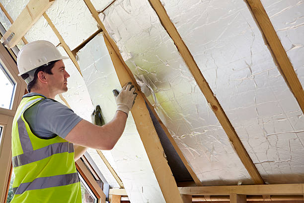 Best Residential Insulation in Jackson, MI